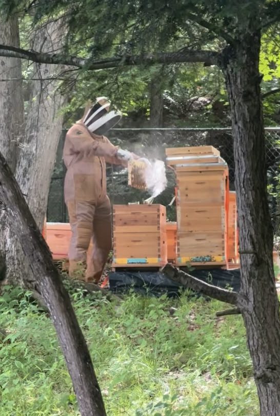 Hüseyin in a beekeeping suit smoking a hive at the ARUA apiary in Wayne, NJ